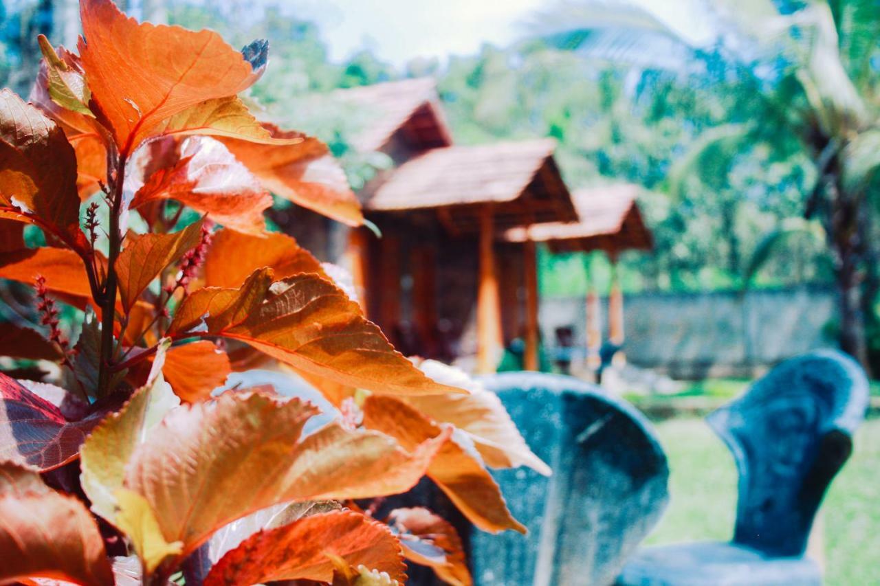 Clay House Hotel Udawalawe Bagian luar foto